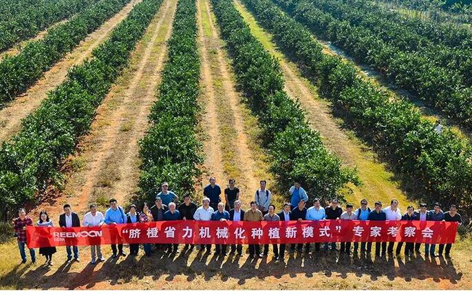 綠萌水果分選設(shè)備可進(jìn)行重量大小分級、顏色、瑕疵外觀視覺分選，無損檢測糖度，甜度，酸度、空心、浮皮、褐變、果肉損傷等內(nèi)部指標(biāo)檢測，提供智能全自動(dòng)臍橙分選機(jī),臍橙分選設(shè)備,臍橙選果機(jī),臍橙選果設(shè)備,臍橙分級機(jī),臍橙稱重分揀機(jī),臍橙大小直徑選果，臍橙采后分選方案和價(jià)格