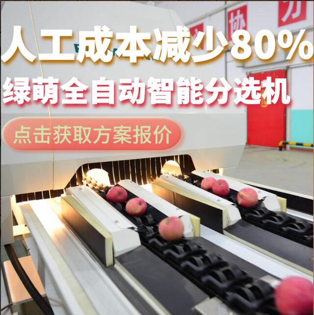 綠萌是水果智能分選設(shè)備國家高新技術(shù)企業(yè),對(duì)水果采后處理提供全套解決方案。綠萌水果分選機(jī)可進(jìn)行大小重量分級(jí)、外觀顏色分選、內(nèi)部品質(zhì)糖度檢測(cè)。提供全自動(dòng)水果分選設(shè)備,水果選果機(jī),智能水果分選機(jī),全自動(dòng)水果分選機(jī),水果分級(jí)機(jī),小型水果分選機(jī)，水果分級(jí)機(jī),水果稱重分選機(jī),水果重量分選機(jī),水果大小分選機(jī),水果顏色分選機(jī),水果糖度分選機(jī),配套水果清洗機(jī)、水果洗果保鮮機(jī)、水果包裝機(jī)、水果消毒滅菌殺菌機(jī),水果打蠟機(jī)。更多水果分選方案報(bào)價(jià),小型水果選果設(shè)備價(jià)格、水果分級(jí)機(jī)怎么樣、口碑好質(zhì)量好的水果選果機(jī)、了解高性能水果分選機(jī)多少錢,咨詢客服免費(fèi)獲取