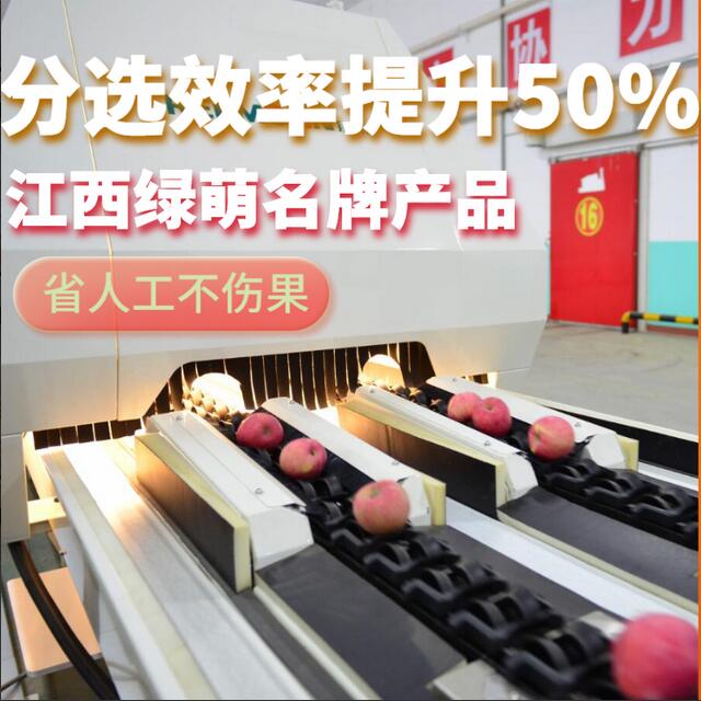 綠萌是水果智能分選設(shè)備國家高新技術(shù)企業(yè),對(duì)水果采后處理提供全套解決方案。綠萌水果分選機(jī)可進(jìn)行大小重量分級(jí)、外觀顏色分選、內(nèi)部品質(zhì)糖度檢測(cè)。提供全自動(dòng)水果分選設(shè)備,水果選果機(jī),智能水果分選機(jī),全自動(dòng)水果分選機(jī),水果分級(jí)機(jī),小型水果分選機(jī)，水果分級(jí)機(jī),水果稱重分選機(jī),水果重量分選機(jī),水果大小分選機(jī),水果顏色分選機(jī),水果糖度分選機(jī),配套水果清洗機(jī)、水果洗果保鮮機(jī)、水果包裝機(jī)、水果消毒滅菌殺菌機(jī),水果打蠟機(jī)。更多水果分選方案報(bào)價(jià),小型水果選果設(shè)備價(jià)格、水果分級(jí)機(jī)怎么樣、口碑好質(zhì)量好的水果選果機(jī)、了解高性能水果分選機(jī)多少錢,咨詢客服免費(fèi)獲取