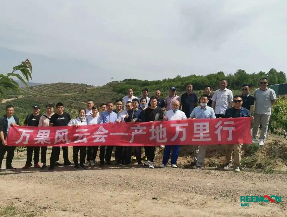 綠萌自動(dòng)化櫻桃分選設(shè)備亮相甘肅天水引起各界廣泛關(guān)注 5月29日，綠萌櫻桃自動(dòng)化分揀生產(chǎn)線在甘