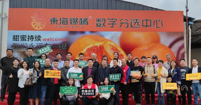 東海爆橘建立綠萌數(shù)字分選中心一陣果汁，細膩無渣，這橘子臉皮很薄，脾氣“爆”！每年秋冬季節(jié)，市場上各種各樣的橘子層出不窮，有些是黃澄澄的，有些是紅色的，讓人一看就喜歡，每年都買回來。貪心的時候找到一個，手里冰涼。我迫不及待地把它剝下來，迅速放進嘴里。那一刻橙汁從我的喉嚨滑落，整個秋冬的干燥被