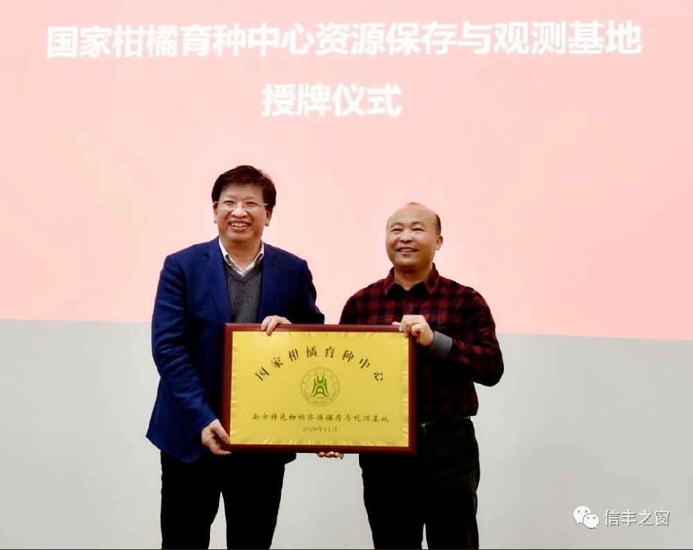 兩塊牌匾！我縣臍橙產(chǎn)業(yè)高質(zhì)量發(fā)展又上新臺階 11月30日，中國工程院副院長、民盟中央副主席、中國科學技術(shù)協(xié)會副主席、國家現(xiàn)代農(nóng)業(yè)柑橘產(chǎn)業(yè)技術(shù)體系首席科學家鄧秀新帶領(lǐng)調(diào)研組來到我縣調(diào)研，并出席華中農(nóng)業(yè)大學與江西綠萌科技控股有限公司簽約儀式、“綠萌果蔬生產(chǎn)智慧裝備研究院”和“國家柑橘育種中心南方特色柑橘資源保