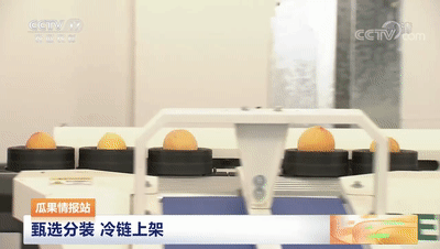 連線采訪＋現(xiàn)場直播7月20日CCTV農(nóng)業(yè)農(nóng)村頻道、央視頻APP深度報(bào)道湖北老河口黃桃產(chǎn)業(yè)發(fā)展情況綠萌作為果蔬智能科技分選企業(yè)憑借AI（人工智能）算法以及光譜技術(shù)為老河口黃桃產(chǎn)業(yè)賦能而亮相央視在此之前綠萌因?yàn)橹袊卟珊髽?biāo)準(zhǔn)建設(shè)賦能已經(jīng)多次亮相于央視黃桃作為老河口的“富農(nóng)果”，身肩重任。全市3.5萬畝黃桃如何打造價(jià)格
