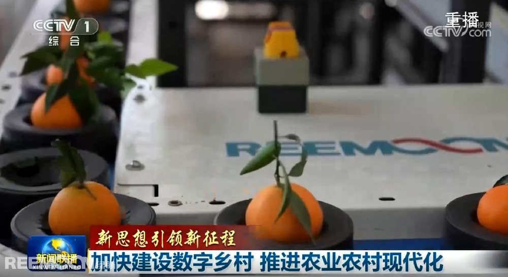 又又又上央視了2025開年見喜綠萌在半月之內(nèi)兩次登上《新聞聯(lián)播》2025年1月1日央視《新聞聯(lián)播》聚焦《甘肅省天水市麥積區(qū)南山花牛蘋果》其中一組畫面中綠萌蘋果雙通道分選線上鏡這條分揀線對蘋果的大小、色澤、瑕疵、糖度、霉心等指標(biāo)進(jìn)行精準(zhǔn)檢測分級助推花牛蘋果做大做強(qiáng)助力果農(nóng)增收致富10