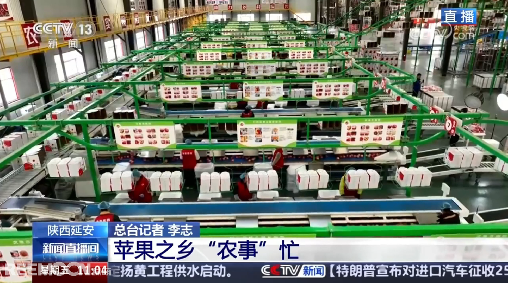 春天是希望的季節(jié)陜西延安是我國蘋果的優(yōu)生區(qū)和主產(chǎn)區(qū)蘋果之鄉(xiāng)正呈現(xiàn)出一片繁忙的景象3月28日，CCTV13新聞頻道聚焦陜西延安蘋果產(chǎn)業(yè)發(fā)展展現(xiàn)中國農業(yè)現(xiàn)代化與鄉(xiāng)村振興的生動實踐PART.01智能分選線：給蘋果做“體檢”，助力果農增收致富延安甘泉縣分揀車間內綠萌智能分選設備高效運轉通過人工智能和圖像處理技術對傳送帶上的